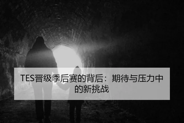 TES晋级季后赛的背后：期待与压力中的新挑战